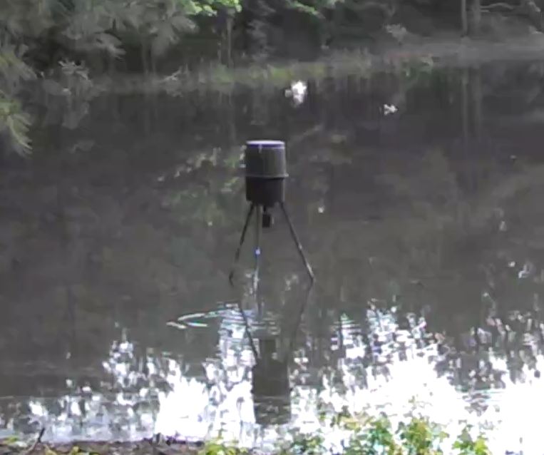 Attached picture Fish Feeder Pic.JPG